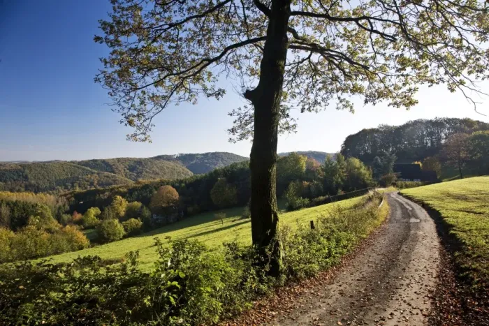 Framed Print : Autumnal landscape in Elfringhauser Schweiz region, Hattingen, Ruhr Area, North Rhine-Westphalia, Germany