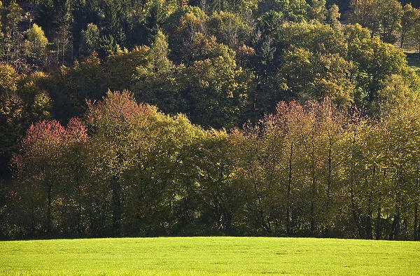 Autumnal landscape in Elfringhauser Schweiz region, Hattingen, Ruhr Area, North Rhine-Westphalia, Germany