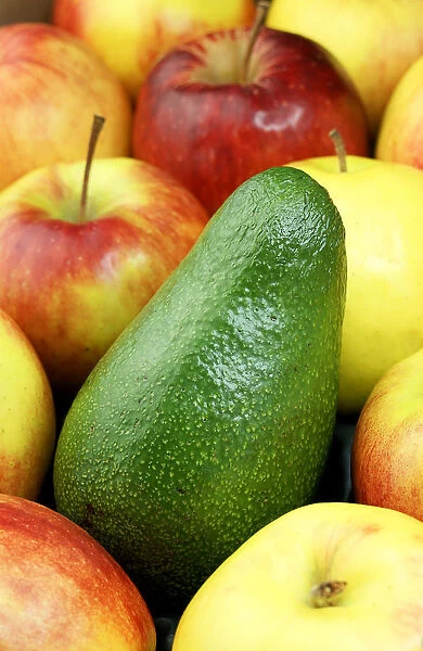 Avocado and organic apples, Jonagold