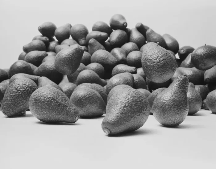 Framed Print : Avocados on white background