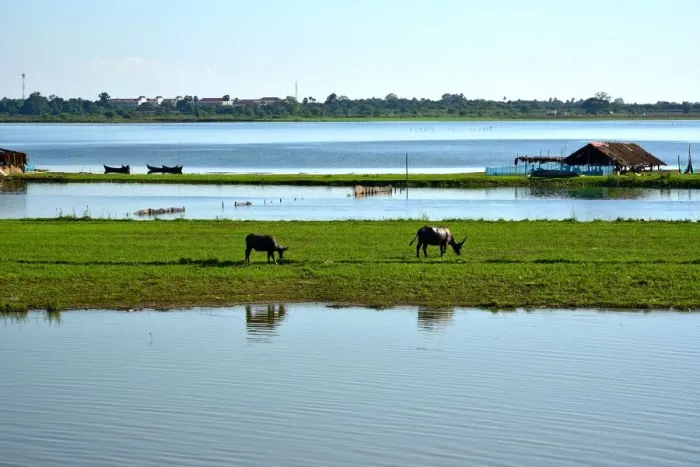 Framed Print : Ayeyarwady river Myanmar Framed Print : Ayeyarwady river Myanmar