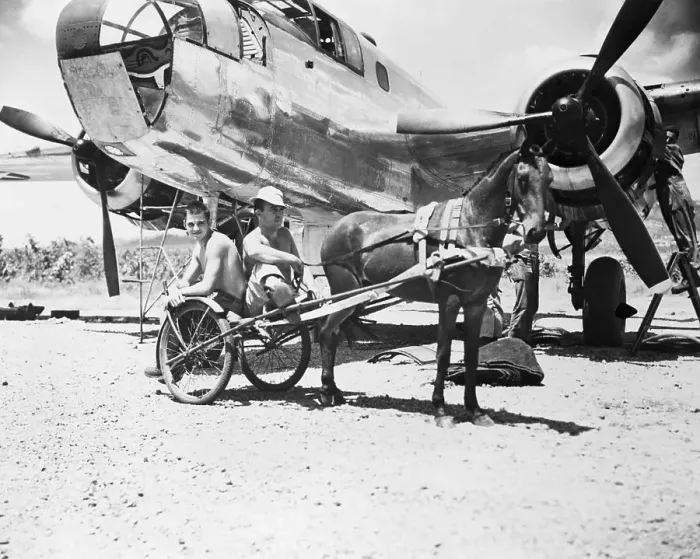 Framed Print : B-25 Bomber and Horse-drawn Transport Framed Print : B-25 Bomber and Horse-drawn Transport