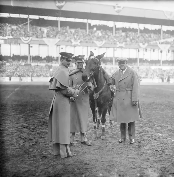Framed Print : Babe Ruth and Attendants with Army Mule