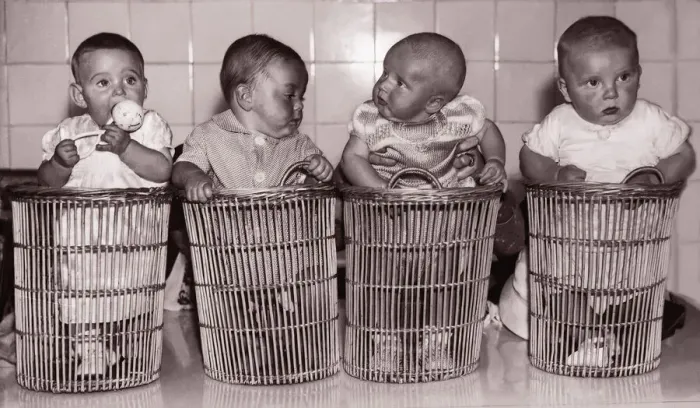 Framed Print : Four babies (6-9 months) in baskets (B&W sepia tone) Framed Print : Four babies (6-9 months) in baskets (B&W sepia tone)