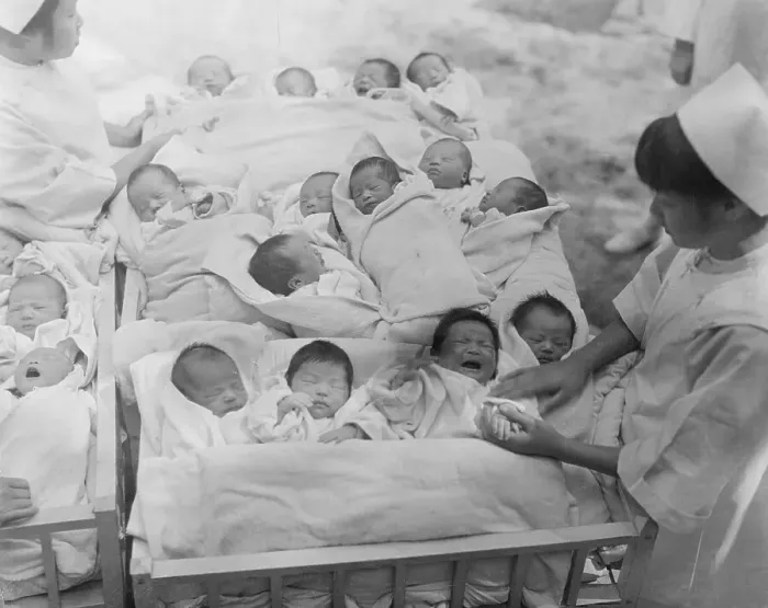 Framed Print : Babies Sharing Hospital Cribs Framed Print : Babies Sharing Hospital Cribs