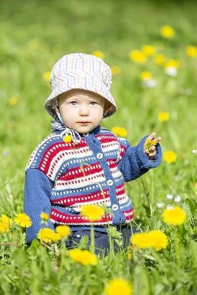 Baby, 12-14 months, on a meadow