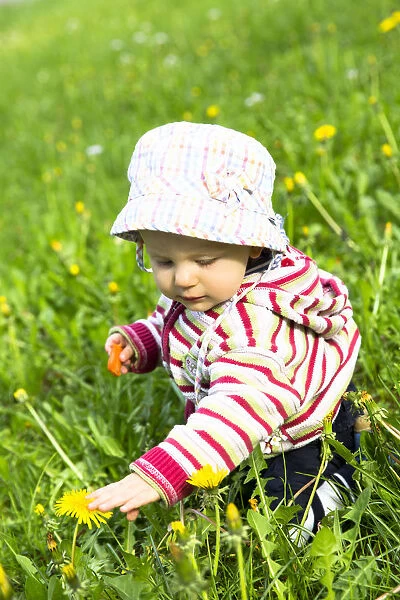 Baby, 12-14 months, on a meadow