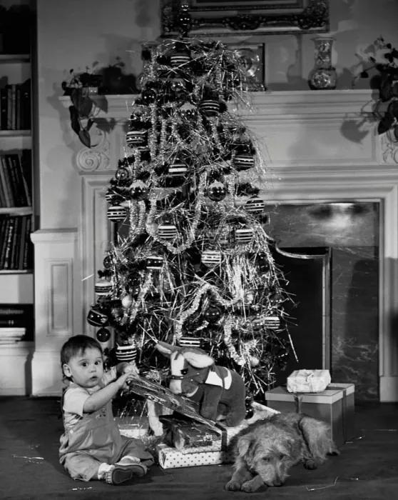 Framed Print : Baby beside a Christmas tree Framed Print : Baby beside a Christmas tree
