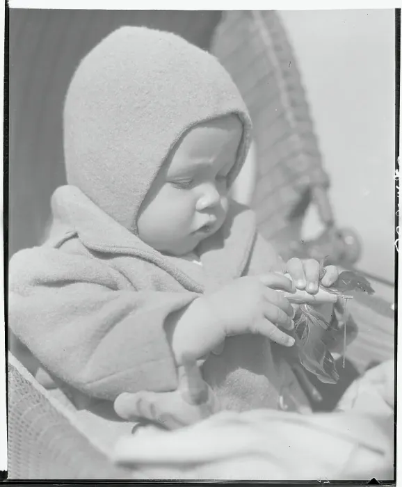 Framed Print : Baby Concentrating on His Toy Framed Print : Baby Concentrating on His Toy