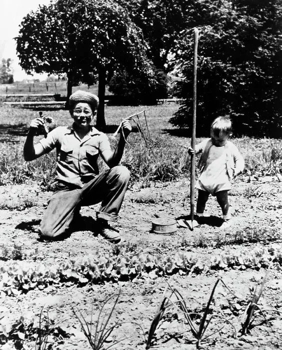 Framed Print : Baby James Dean Playing In The Garden Framed Print : Baby James Dean Playing In The Garden