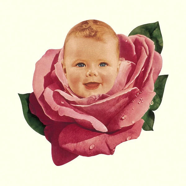 Baby in Pink Rose
