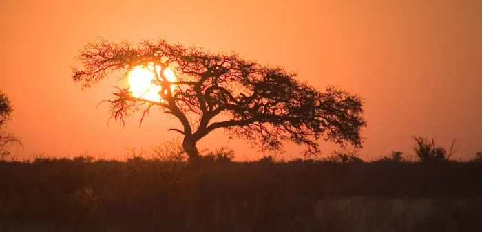 Framed Print : backlit, beauty in nature, botswana, clear sky, dusk, glowing, grass, horizon, horizon over land Framed Print : backlit, beauty in nature, botswana, clear sky, dusk, glowing, grass, horizon, horizon over land