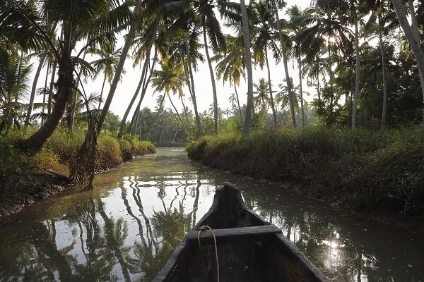 Backwater tour on a tributary of the Poovar River, Puvar, Kerala, South India, India, Asia