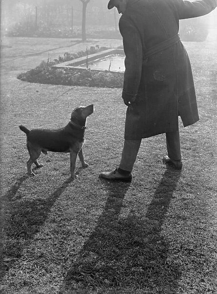 Bad Dog. circa 1930: The sun is low in the sky when a man takes his dog