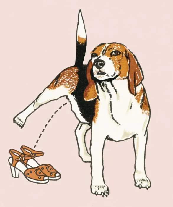 Framed Print : Bad dog. http: / / csaimages.com / images / istockprofile / csa_vector_dsp.jpg Framed Print : Bad dog. http: / / csaimages.com / images / istockprofile / csa_vector_dsp.jpg