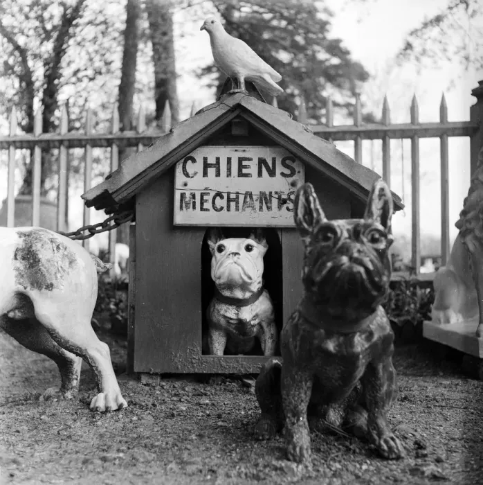 Framed Print : Bad Dogs. A garden in France containing some unusual ornaments - a collection Framed Print : Bad Dogs. A garden in France containing some unusual ornaments - a collection
