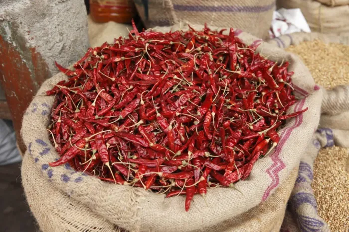 Framed Print : Bag filled with chili peppers, Devaraja Market, Mysore, Karnataka, South India, India, South Asia, Asia Framed Print : Bag filled with chili peppers, Devaraja Market, Mysore, Karnataka, South India, India, South Asia, Asia