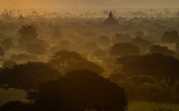 Bagan pagodas in the mist during sunrise