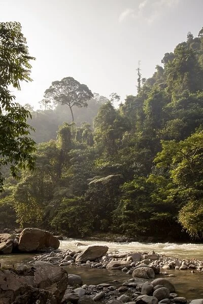 Bahorok River running through Gunung Leuser