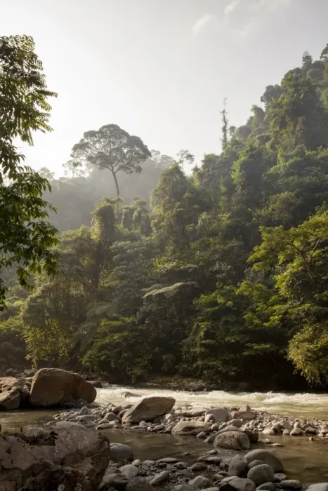 Framed Print : Bahorok River running through Gunung Leuser