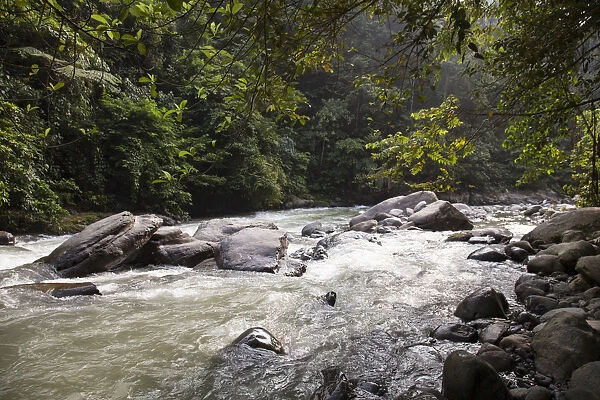 Bahorok River running through Gunung Leuser National Park
