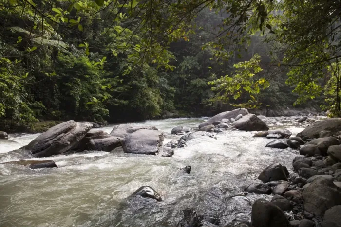 Framed Print : Bahorok River running through Gunung Leuser National Park Framed Print : Bahorok River running through Gunung Leuser National Park