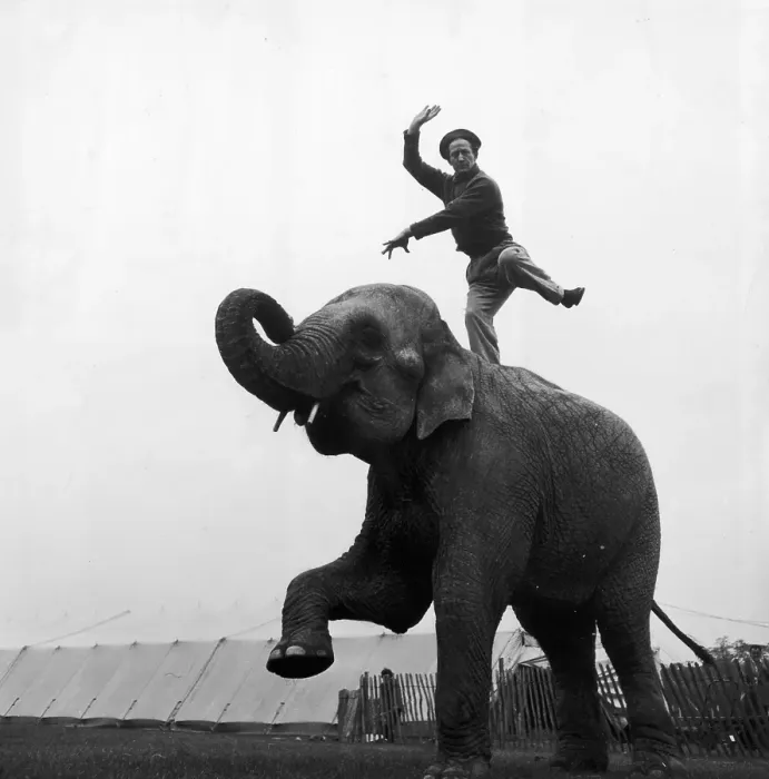 Framed Print : Balancing Act Framed Print : Balancing Act