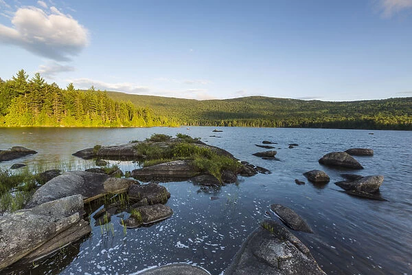 Bald Mountain Pond and Northern Forest, Bald Mountain Township, Maine, USA