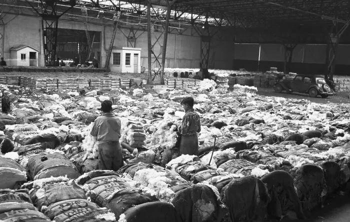 Framed Print : Bales Of Cotton in French Warehouse Framed Print : Bales Of Cotton in French Warehouse