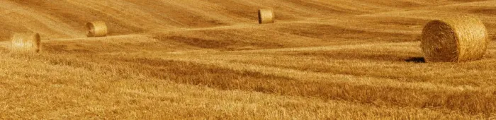 Framed Print : Bales of straw on a harvested field, Tuscany, Italy, Europe