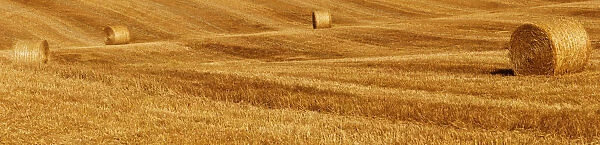 Bales of straw on a harvested field, Tuscany, Italy, Europe