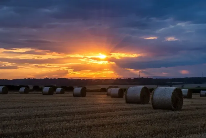 Framed Print : Bales of straw at Newton under Roseberry, UK Framed Print : Bales of straw at Newton under Roseberry, UK