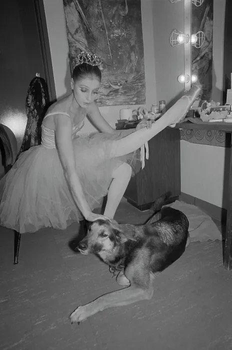 Framed Print : Ballerina Suzanne Farrell with Her Dog Framed Print : Ballerina Suzanne Farrell with Her Dog