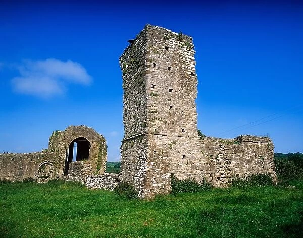 Ballybeg Abbey, 13th century, Buttevant, Co Cork, Ireland