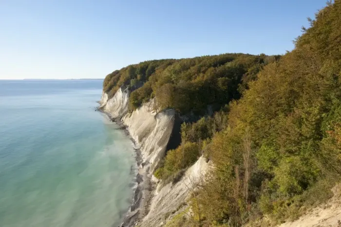 Framed Print : Baltic Sea, chalk cliffs and beech forest, Common beech trees -Fagus sylvatica-, in autumn, Jasmund National Park, Mecklenburg-Vorpommern, Germany Framed Print : Baltic Sea, chalk cliffs and beech forest, Common beech trees -Fagus sylvatica-, in autumn, Jasmund National Park, Mecklenburg-Vorpommern, Germany