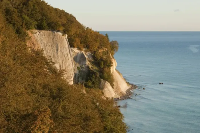 Framed Print : Baltic Sea, chalk cliffs and beech forest, Common beech trees -Fagus sylvatica-, in autumn, Jasmund National Park, Mecklenburg-Vorpommern, Germany