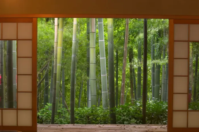 Framed Print : Bamboo as viewed through tea house windows, Kyoto, Honshu, Japan Framed Print : Bamboo as viewed through tea house windows, Kyoto, Honshu, Japan
