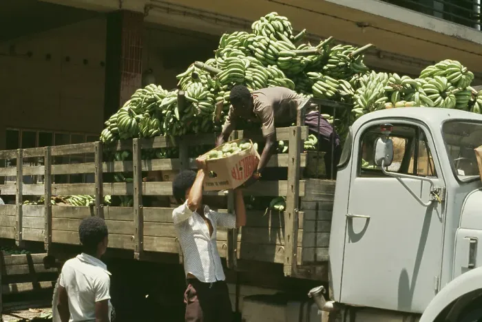 Framed Print : Banana Delivery In Luanda, Angola Framed Print : Banana Delivery In Luanda, Angola