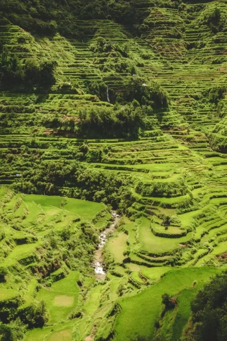 Framed Print : Banaue. 2000 year old rice terraces carved into the mountains in Banaue, North Luzon Framed Print : Banaue. 2000 year old rice terraces carved into the mountains in Banaue, North Luzon