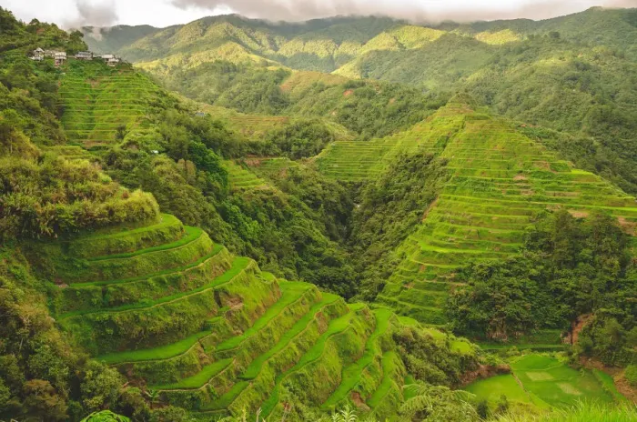 Framed Print : Banaue rice hills Framed Print : Banaue rice hills