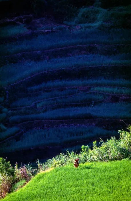 Framed Print : The Banaue Rice Terraces Framed Print : The Banaue Rice Terraces