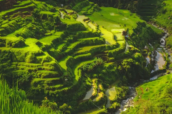 Framed Print : Banaue river Framed Print : Banaue river