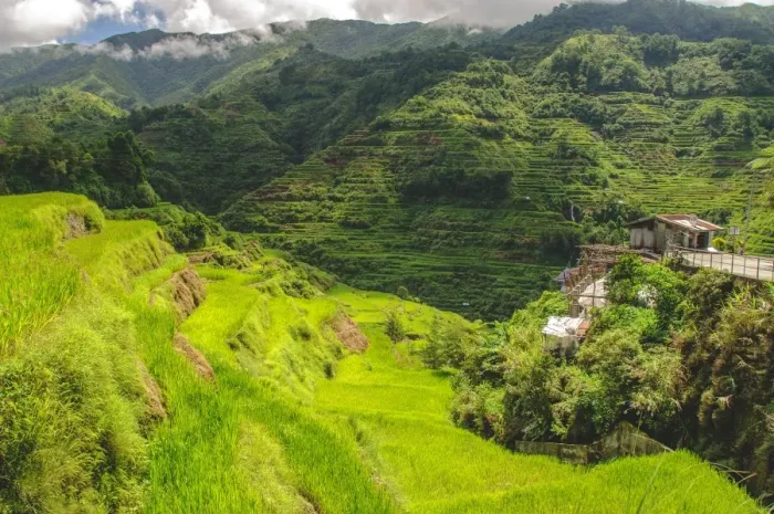Framed Print : Banaue scenery Framed Print : Banaue scenery