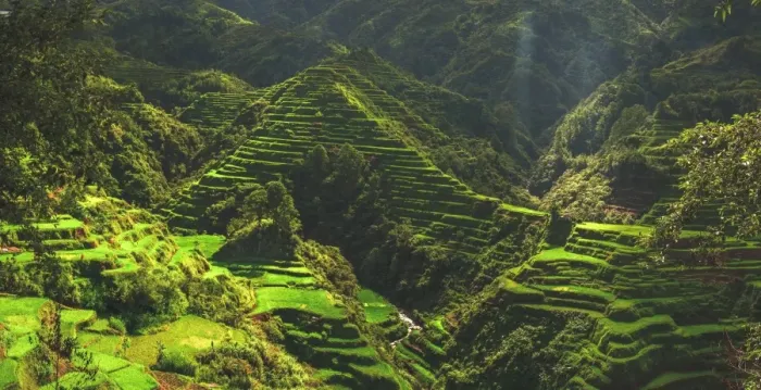 Framed Print : Banaue terraces Framed Print : Banaue terraces