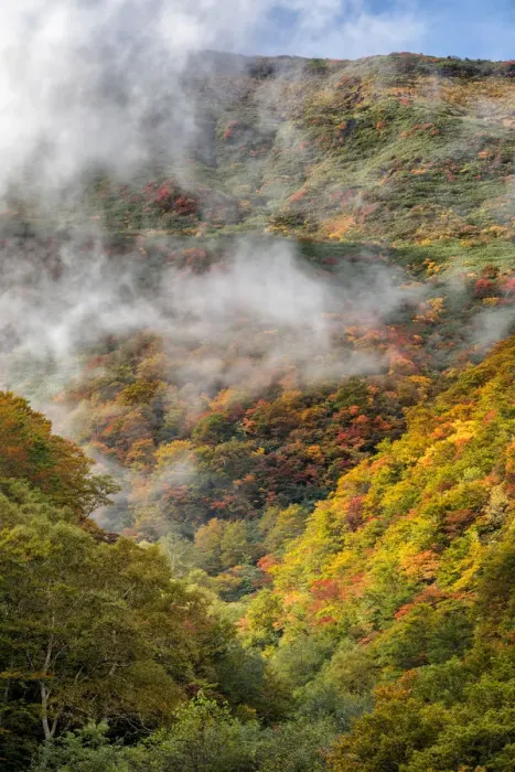 Framed Print : Bandai-Asahi National Park Misty Morning Framed Print : Bandai-Asahi National Park Misty Morning