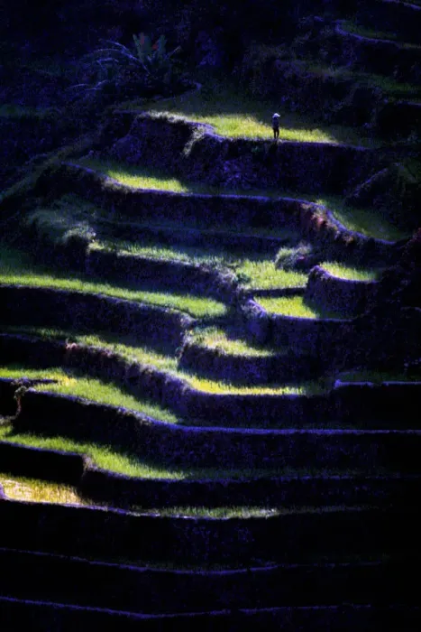 Framed Print : Bangaan Rice Terraces Framed Print : Bangaan Rice Terraces