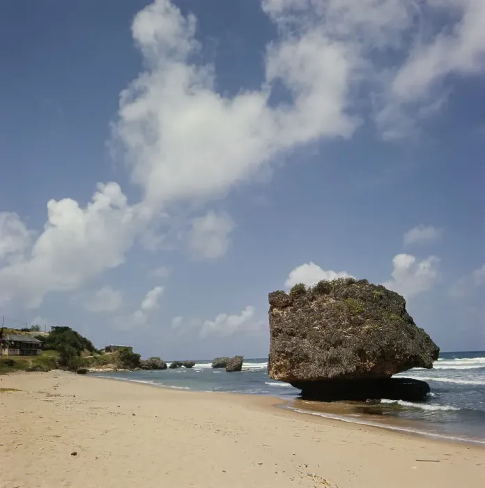 Framed Print : Barbados Beach Framed Print : Barbados Beach
