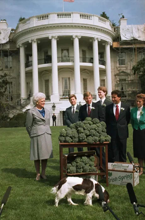 Framed Print : Barbara Bush Accepting Cases of Broccoli Framed Print : Barbara Bush Accepting Cases of Broccoli