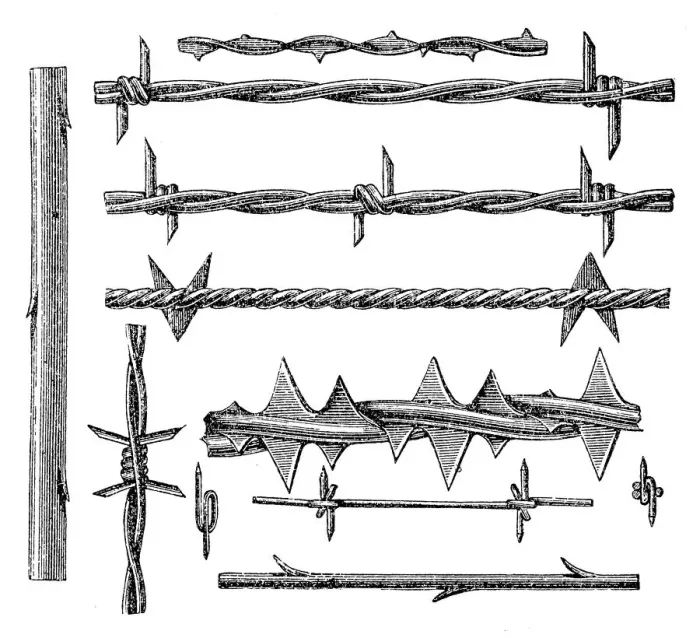 Framed Print : Barbed Wire Framed Print : Barbed Wire