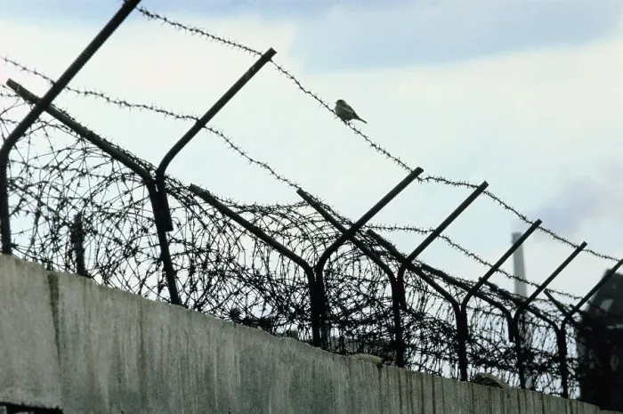 Framed Print : Barbed Wire Wall Framed Print : Barbed Wire Wall